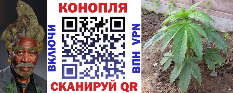 Шишки марихуана план  Себеж 